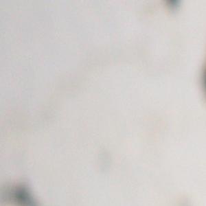 M-N Caron ''Rouge et gris''